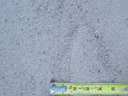 Cowbay (Beach) Sand